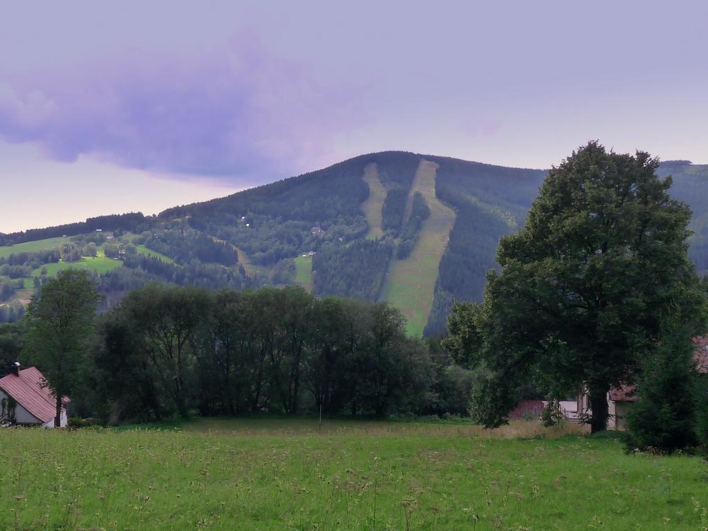 Penzion V Kolonce Strážné Exteriér fotografie